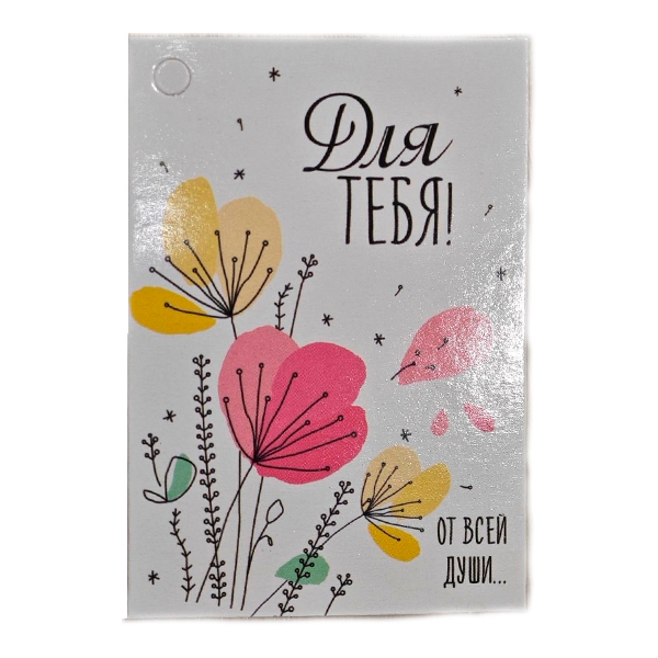 Шах-133 Открытка маленькая