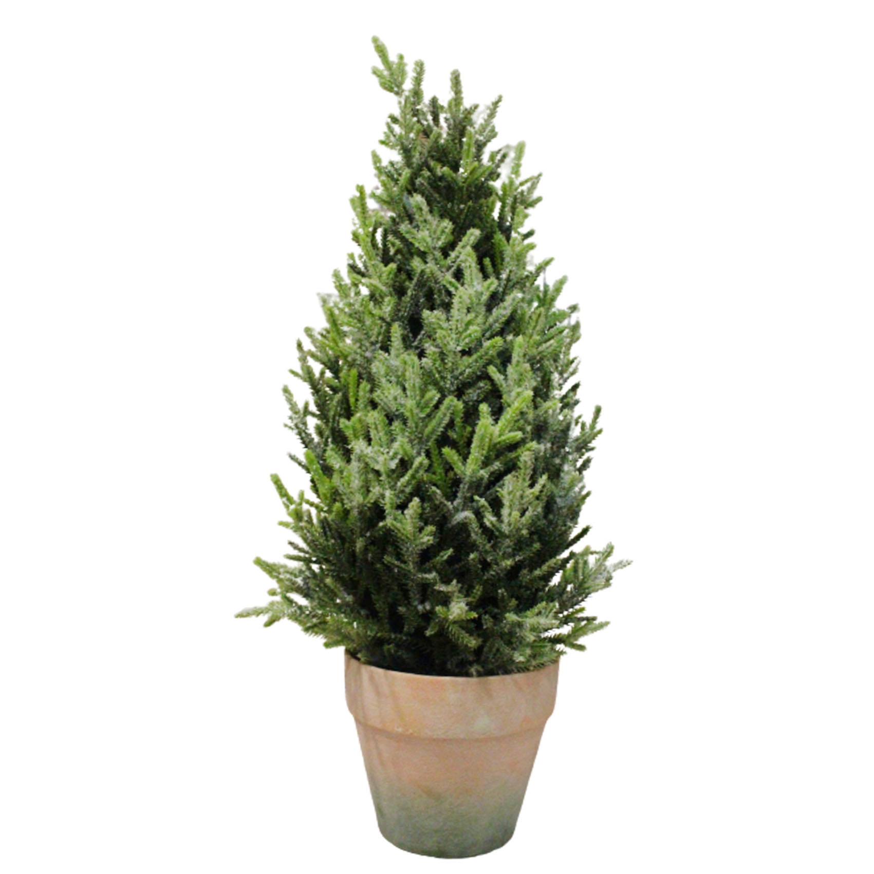 Ри-Нг-464 Елка в горшке зеленая 23*23*60см ST17-T010X