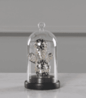 Ри-49/308 Декор "Кактус" в стеклянной колбе 9.4*9.4*17 JYK14678