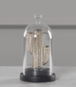 Ри-49/309 Декор "Кактус" в стеклянной колбе 9.4*9.4*17 JYK14677