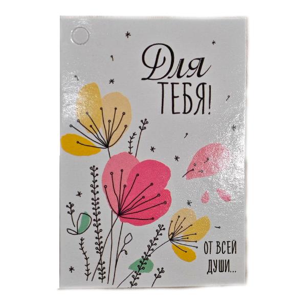 Шах-133 Открытка маленькая