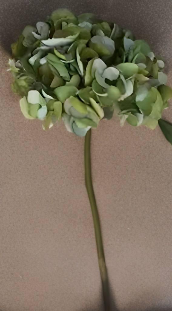 Ри-60/109 Гортензия (зеленая) 0831809000270